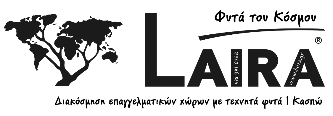 laira logo