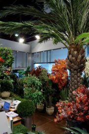 plants e1590739894767